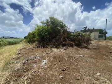 Residential Land