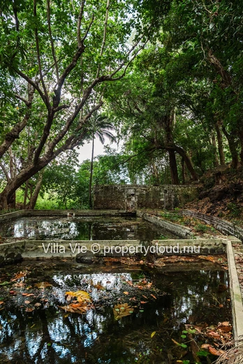 Beau Champ - Magnificent 3 bedroom villa with private pool