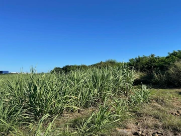 Residential Land