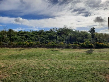 Residential Land