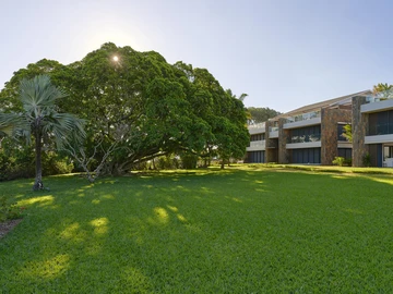 4 Bedroom Apartment