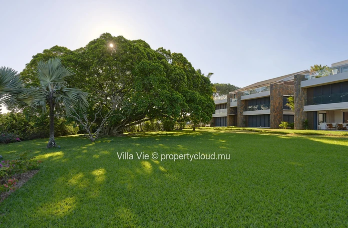 Belle Vue - Beautiful 4-bedroom apartment on the first floor