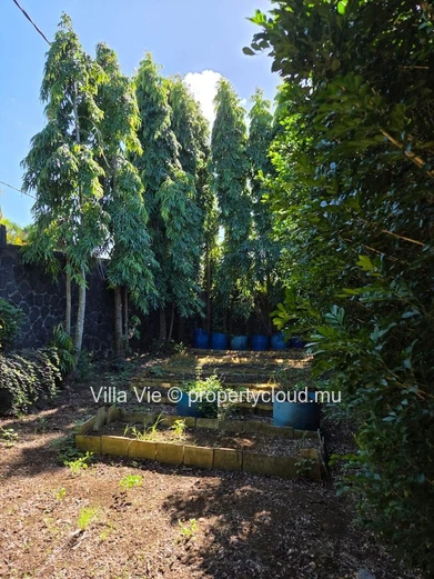 Foret Daruty - Charmante villa de 4 chambres avec piscine et grand jardin